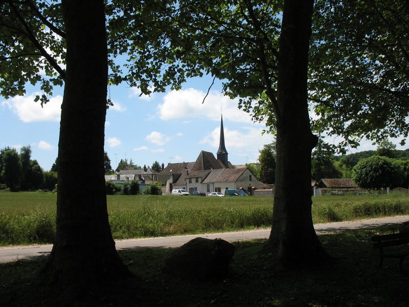2014-06-08-Orchidées de la vallée des Cailles à Boncourt
